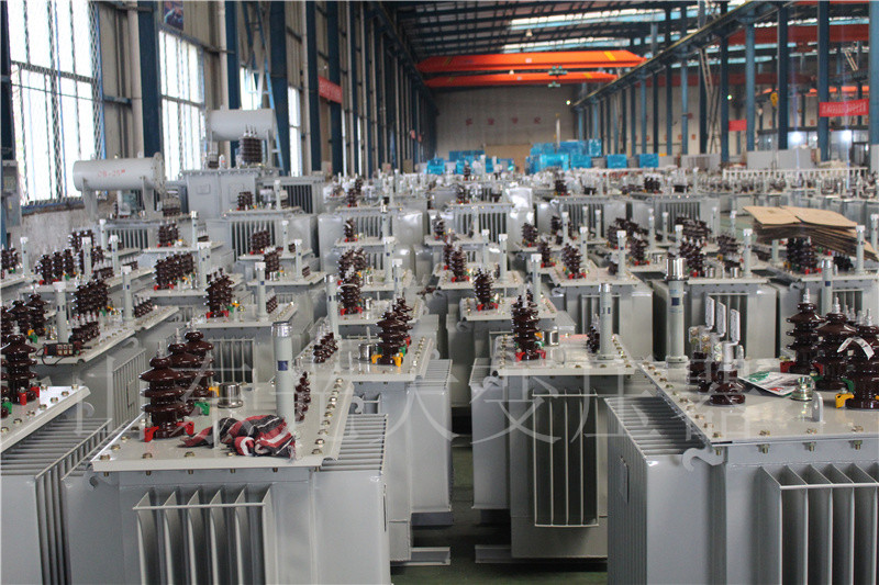 平川S22-800KVA/10KV